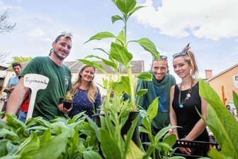Pflanzenflohmarkt im Plauener Pfaffengut bietet große Auswahl -