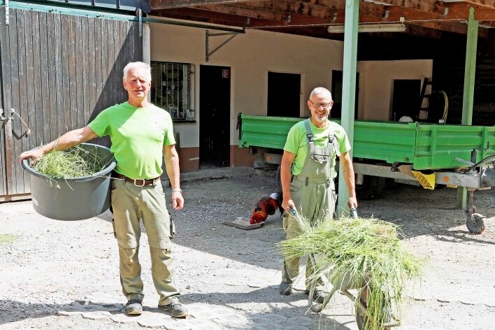 Pfleger kümmern sich bereits ums Grünzeug für den Winter - Die Tiergehege-Mitarbeiter Wolfram Endrigkeit (r.) und Lutz Gärtner auf dem Hofgelände, das in Kürze neu gepflastert wird. 