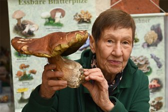 Pilz-Experten geben in Wechselburg Tipps: So sammeln Sie sicher im Wald - Kreispilzberaterin Sieglinde Köhler mit einem Riesen-Steinpilz, der wie viele weitere Arten zur Pilzausstellung in Wechselburg zu sehen war. Fachleute und Besucher hatten essbare, aber auch giftige Pilze mitgebracht.