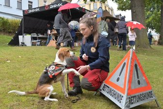 Pilzberater, Händler und Rettungshund "Google" - Kirchberger Altstadtfest stößt trotz Regen auf große Resonanz - Anja Fritzsche und ihr Hund "Google" gehören zur Rettungshundestaffel Südwestsachsen.