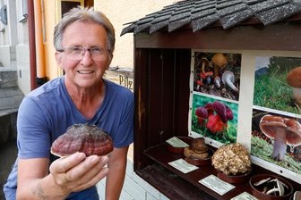 Pilzberater schlägt Alarm: Nur in einem Jahr gab es noch weniger Pilze - Pilzberater Werner Stolpe hat derzeit Mühe, seinen Schaukasten zu befüllen.