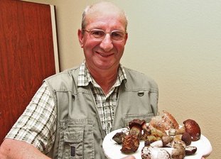 Pilzberater traut Augen kaum - Pilzberater Gerd Frühauf ist begeistert von diesem Fund. 