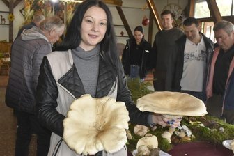 Pilzberaterin rettet Leben: Ehepaar mit zehn Pantherpilzen im Beutel - Sandra Gruner gehörte zu den Pilzberatern und -beraterinnen, die den Besuchern in Magwitz Hinweise gaben. Im Bild ist die Falkensteinerin mit Riesenkrempentrichterlingen zu sehen.