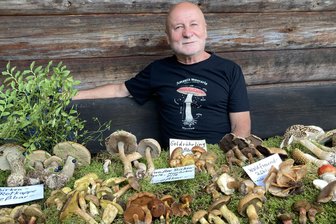 Pilzfieber im Vogtland: Hier zeigen Pilzberater ihre Schätze - Viele Röhren- und Lamellenpilze hatte Jochen Michael in Vorbereitung der Pilzausstellung in Schönheide gesammelt und zum Kräutertag ausgestellt.