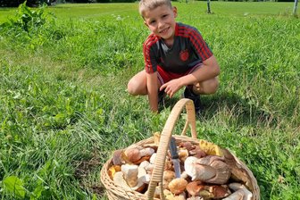 Pilzglück im Erzgebirge: Vater und Sohn sammeln erfolgreich im Team - Janne hatte beim Pilzsammeln zusammen mit Vater Martin Scherf großen Erfolg am Schießberg in Crottendorf.