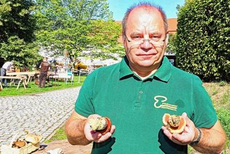 Pilzsuche im Landkreis Zwickau: "In einigen Tagen lohnt es sich, Ausschau zu halten" - Uwe Vogel zeigt den essbaren Flockenstieligen Hexenröhrling (links), der wie der giftige Satanspilz (rechts) ein rotes Futter hat und so leicht mit diesem zu verwechseln ist. 