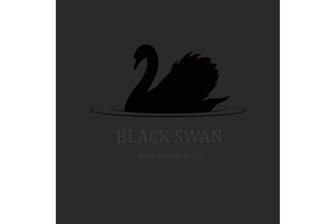 Pink Turns Blue mit „Black Swan“: Gekonnt - „Black Swan“ ist das neue Album von Punk Turns Blue.