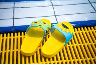 Pläne für neue Schwimmhalle im Erzgebirge: Maßgebende Entscheidung gefallen - Die Pläne für eine Schwimmhalle in Stollberg haben einen herben Dämpfer erhalten.