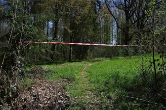 Pläne zum Wechselburger Schlosspark: Dialog mit Bewohnern - Im Schlosspark Wechselburg müssen zeitweise Wege gesperrt werden, zum Beispiel nach starken Regenfällen.