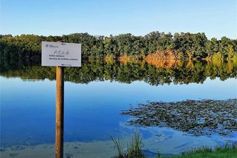 Planungen für Activity-Park Noßwitz laufen - Noch ruht der See ganz still in der Abendsonne. Mit dem Activity-Park könnte sich das ändern.