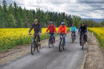 Platz zwei in Sachsen für Auerbach im Fahrradklima-Test: Lob, Kritik und was die Stadt für Radfahrer noch tun will - Auerbach landet sachsenweit beim Radfahrer-Klimatest auf Platz zwei. Auch wegen der entspannten und sicheren Radwege in den Ortsteilen, wie hier in Rebesgrün.
