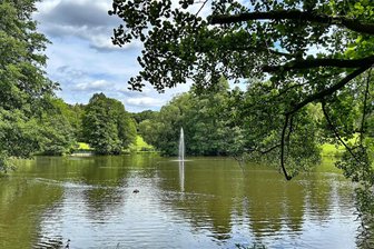 Plauen kürzt Stadtpark-Fontäne ein - Die Fontäne im Stadtparkteich ist für viele Besucher ein beliebtes Fotomotiv geworden. Aber sie hat sich verändert.