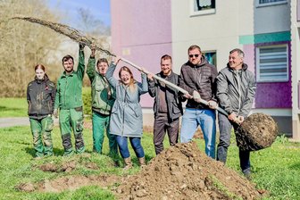 Plauen stärkt das Stadtklima durch neue Bäume und vielfältige Spendenmodelle - Auf Initiative des Dachverbandes Stadtmarketing wurde jetzt eine Hainbuche gepflanzt.
