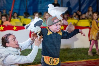 Plauener Kindergartenkinder präsentieren sich in der Zirkusmanege - Mutig präsentiert der sechsjährige Nikolas in der Manege eine Taubendressur.