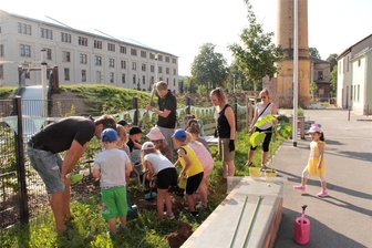 Plauener Kitakinder pflanzen Blu Kiribaum - Der Baum wurde auf der Seite der Handwerkerhöfe gepflanzt.