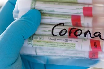 Plauener Lessing-Gymnasium: Zwei Klassen in Quarantäne - Von Corona betroffen ist jetzt auch das Plauener Lessing-Gymnasium