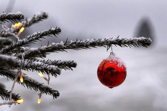 Plauener Literaturverein Goethekreis beschäftigt sich mit Geschichte des Weihnachtsbaums - Ein geschmückter Weihnachtsbaum gehört in Deutschland einfach zum Fest dazu.