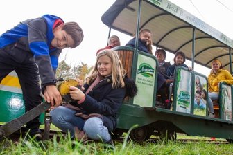 Plauener Parkeisenbahn stellt die Weichen zum Saisonausklang - 