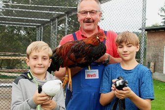 Plauener Rassegeflügelzüchter hoffen auf Schauen in der Wintersaison - Im Hause Weiß steuert die gesamte Familie auf die bevorstehende Ausstellungssaison hin: Den Kreisvorsitzenden Uwe Weiß, der unter anderem Italiener züchtet, unterstützen seine beiden Enkelkinder Max (9), der Voorburger Schildkröpfer züchtet, und Ian (11), dem es die Brünner Kröpfer angetan haben.