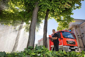 Plauener Stadtbäume leiden unter Trockenheit: Wer hilft beim Gießen mit? - In Plauen soll nicht nur die Berufsfeuerwehr fürs Gießen der Bäume sorgen.