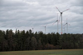 Plauener Stadträte verbieten Bau von Windrädern in städtischen Wäldern - Windräder im Wald lehnt der Plauener Stadtrat mehrheitlich ab.