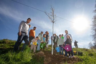 Plauens „Pfad der Bäume“ wächst: Kinder pflanzen Rot-Eiche - 