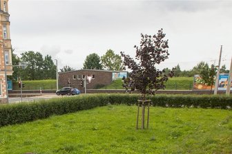 Plauens Verkehrsstraße Pausaer Straße erhält jetzt einen grünen Treffpunkt - Auf dieser Grünfläche an der Ecke Rückert-/Pausaer Straße sollen nun noch andere Klimabäume gepflanzt werden.