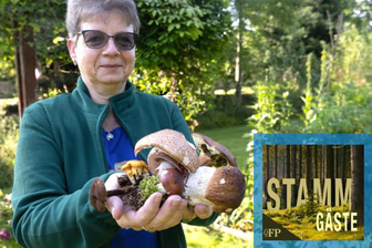 Podcast "Stamm-Gäste": Von Pilzfindern und Pilzsuchern - 