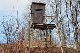 Pöhla: Wenn der "Wilderer" im Revier selbst Jäger ist - Die beschädigte Jagdkanzel in einem Waldstück bei Pöhla. Gegen den Täter wurde Anzeige erstattet, die Kriminalpolizei ermittelt.