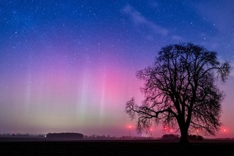 Polarlichter leuchten über Deutschland - Ein Polarlicht leuchtet am Nachthimmel am Sonntag nahe Lietzen im Landkreis Märkisch-Oderland (Brandenburg). Dieses Nordlicht (Aurora borealis) wurden durch eine gigantische Wolke elektrisch geladener Teilchen eines Sonnensturms in der Erdatmosphäre erzeugt. Der farbliche Effekt wird hierbei durch die Digitalkamera bei einer Langzeitbelichtung von etwa 10 Sekunden noch verstärkt. 