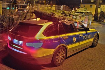 Polizei bringt gestohlene Weihnachtsbäume mit Streifenwagen zurück - ungewohntes Bild: Polizisten in Mülheim bringen dem Besitzer zwei gestohlene Weihnachtsbäume zurück.