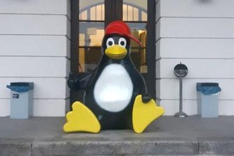 Polizei ermittelt: Was macht der Pinguin vor der Hochschule Mittweida? -