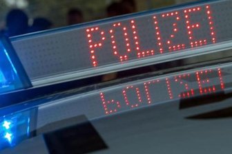 Polizei erwischt mutmaßliche Diebesbande -