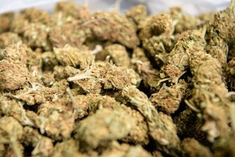Polizei findet in Zwickauer Wohnung Marihuana, Kokain, Geld und Machete - Zwei Kilo Marihuana hat die Polizei in einer Zwickauer Wohnung entdeckt.
