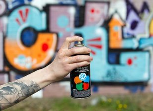 Polizei identifiziert junge Sprayer - 