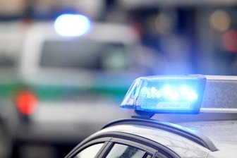 Polizei schnappt mutmaßliche Diebesbande - 