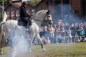 Polizei und Feuerwehr zum Anfassen: Zwickau erwartet ein aufregendes Blaulicht-Fest im Doppelpack - Auch die Reiterstaffel der sächsischen Polizei wird sich am Samstag in Zwickau auf der Rosenwiese vorstellen.