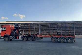 Polizei zieht überladenen Holzlaster aus dem Verkehr - Die Polizei hat am Mittwochnachmittag diesen überladenen Holzlaster aus dem Verkehr gezogen.