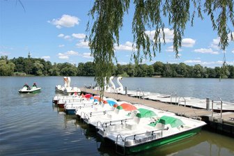 Polizeieinsatz am Schwanenteich in Zwickau: Warum wegen einem Verstoß gegen die Binnenschifffahrtsstraßen-Ordnung ermittelt werden muss - Am Bootsverleih am Schwanenteich in Zwickau war die Polizei im Einsatz.
