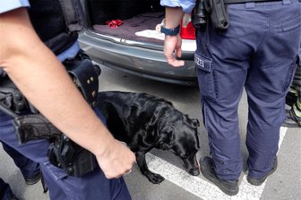 Polizeieinsatz in Chemnitz: Hund in praller Sonne im Auto gelassen - Polizei und Feuerwehr haben einen Hund aus einem Auto gerettet, der in der prallen Sonne eingesperrt war.