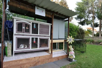 Polizeieinsatz wegen Zwergkaninchen in Zwickau: Zoé (11) bangt um ihre Lieblinge - Hier leben die Zwergkaninchen von Zoé. Der Stall erfüllt laut dem Veterinäramt aber nicht die gesetzlichen Vorgaben.