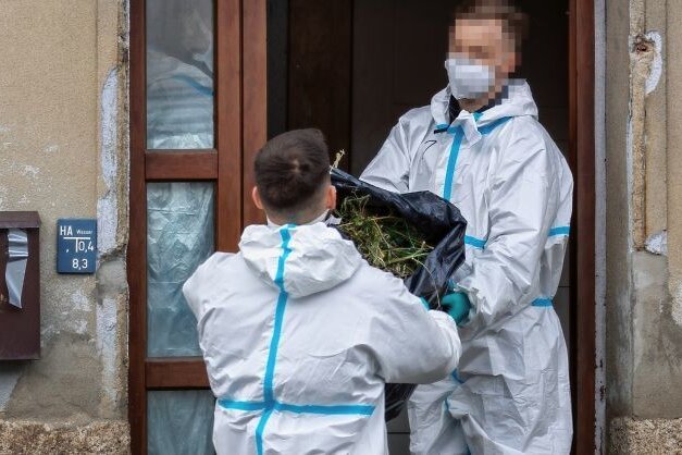Polizisten heben Cannabis-Plantage in Kottengrün aus - Polizisten schaffen Säcke voller Cannabis-Pflanzen aus dem durchsuchten Haus an der Kottengrüner Hauptstraße. 
