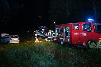 Polo auf Abwegen -