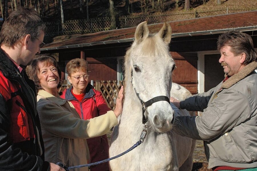 Pony Fussel ist tot: Liebling der Kinder im Peniger Naturpark Köbe ist nun im Pferdehimmel - Im Jahr 2006 schenkte die Familie Tischer aus Niedersteinbach das Pferd dem Naturpark Köbe. Damals war Fussel rund 14 Jahre alt. Mehr als die Hälfte ihres Lebens hat sie demnach in der Köbe verbracht. 