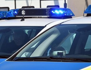 Pony von Auto erfasst und tödlich verletzt -
