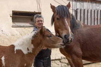 Ponyausleihstation im Erzgebirge lädt zu erstem Vereinsfest ein - Ein erstes Vereinsfest gibt es an der Ponyausleihstation von Marielle Füssel (Archivfoto).