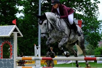 Ponyfestival in Lengenfeld - 