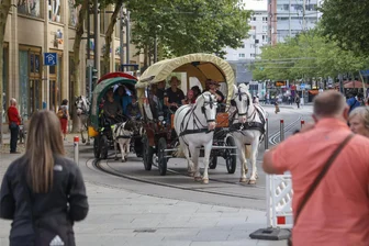 Ponys samt Kutschen in der Chemnitzer Innenstadt: Eine Botschaft, eine Glocke und was das Ganze mit Frieden zu tun hat - Neben Citybahn und Linienbus sorgten rund ein Dutzend Ponys samt Kutschen für Verwirrung am Donnerstag Morgen.