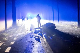 Porsche-Oldtimer stößt nahe Frauenstein mit drei Pferden zusammen: Jetzt sind weitere Details bekannt - Auf der S 184 in Richtung Frauenstein kam es zu einer Kollision zwischen einem Porsche und einem Pferd.