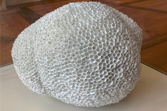 Porzellanbiennale in Meißen macht aus Weißem Gold einen Kunst-Stoff: Interaktion mit Geschirr - Bei diesem exklusiven Biennale-Stück von Heide Nonnenmacher handelt es sich um die Koralle "who is gonna miss me" ("wer wird mich vermissen").